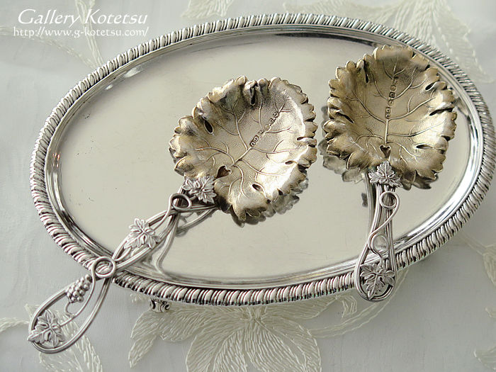 �e�B�[�L���f�B�X�v�[�� teacaddyspoon george unite